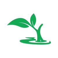 A green plant with leaves on it is on a white background vector