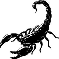 A detailed illustration of a black scorpion with claws and tail raised on a white background vector
