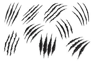 Set of Black Claw Scratch Marks on White Background vector