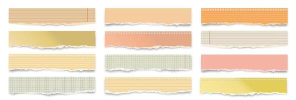 Torn paper strips in various colors vector