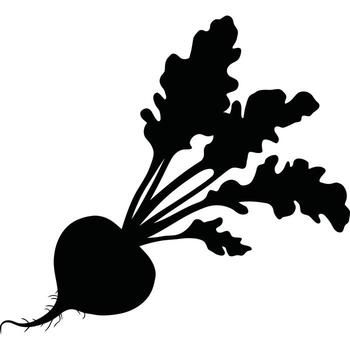 A silhouette of a beet with large leaves and a root extending from the bottom against white background vector