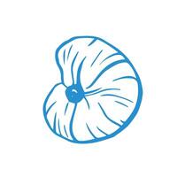 Marine whimsical hand drawn seashell in blue color on the white background vector