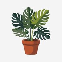 Simple and Elegant Plant Pots for Interior Spaces vector