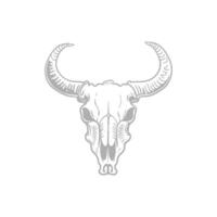 A bull skull with horns on a white background vector