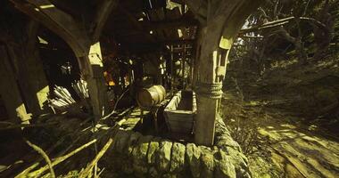 CGI Hidden Cabin in Overgrowth video