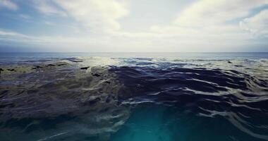 CGI deep sea view video