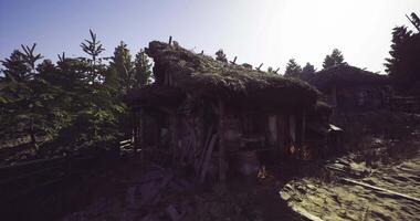CGI Worn Cabin in Deep Woods video