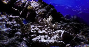 CGI rock formation in deep ocean video