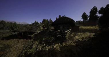 CGI Lonely Cabin in Wild Forest video