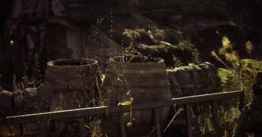 CGI old abandoned barrels video