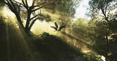 CGI sun filtering through the forest video