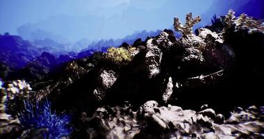 CGI a vibrant underwater scene featuring a coral reef ecosystem, characterized by colorful corals and rocky formations video