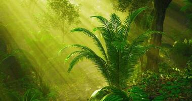 Realistic CGI Sunlight Through Forest video