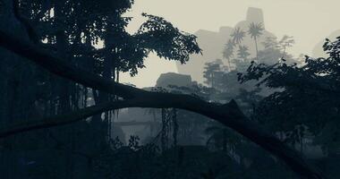 CGI dark forest view video