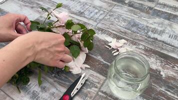 A person cutting a flower with scissors video