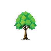 Autumn Maple Tree Illustration Design vector