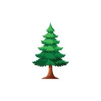 Tall Pine Tree Illustration with Clean Background vector