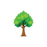 Elegant Maple Tree with Falling Leaves vector