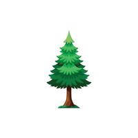 Evergreen Pine Tree Illustration on White vector