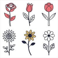 Vibrant floral set with seamless rose and tulip patterns, icon design. vector