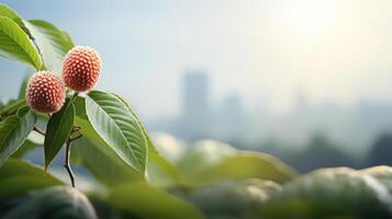 Hawthorn berries with a blurred city skyline in the background. photo
