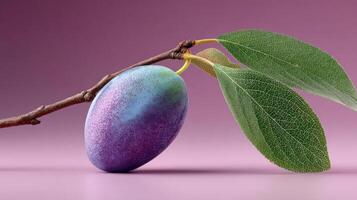 Close-up of a vibrant plum with a leaf on a branch. photo