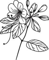 Honeysuckle pea line drawings, hand-painted Honeysuckle wall art, Honeysuckle botanical wall art, Honeysuckle drawing, periwinkle stock outline drawing, Honeysuckle line art vector