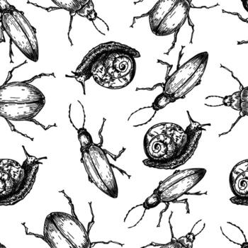 Bugs and snails outline seamless pattern. Black and white repeated background of longhorn beetles, scarabs, and spiral shelled snails. Monochrome insect hand drawn for naturalist print. vector