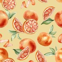 Colorful orange fruit pattern illustration vector