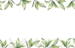 Branch of citrus tree with leaves in watercolor on seamless banner isolated. Grapefruit tree greenery sprigs hand drawn on repeating border. Foliage texture for wedding invitation, packaging, label. vector