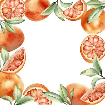 Orange citrus whole and half and leaves on watercolor border isolated on white. Fresh summer frame painted with sliced red grapefruits, foliage. Ripe fruits template with copy space for card, label