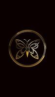 gold butterfly on alpha channel background video