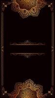 vintage golden frame alpha channel background video