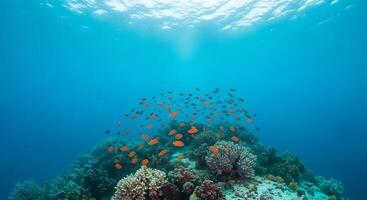 An underwater view of coral reefs with fish photo