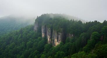 A mountain with trees and fog in the background photo
