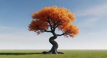 A tree with orange leaves on a grassy field photo