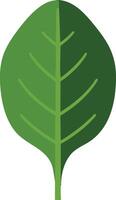 Green leaf illustration with simple design and natural shape for environmental and botanical projects vector