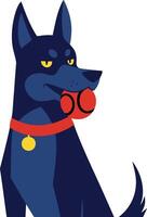 Doberman dog holding red ball in mouth with collar and tag illustration in simple style vector