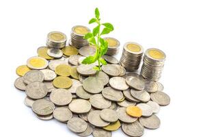 How to start a business with no money photo