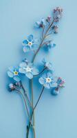 Forget-me-nots on blue background photo