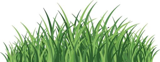 Green grass blades illustration with natural sharp edges and fresh look for design projects vector