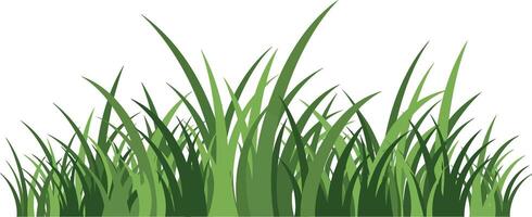 Green grass blades natural illustration isolated on white background seamless design element vector