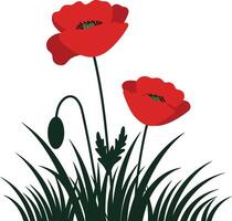 Red Poppy Flowers with Green Grass Illustration for Nature and Floral Design Elements vector