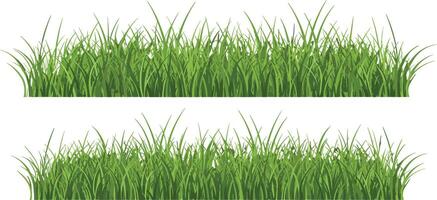 Green grass blades border illustration with natural fresh appearance horizontal layout vector