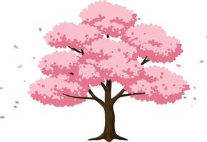 Cherry Blossom Tree with Pink Flowers and Falling Petals Illustration for Spring Season Nature Design vector