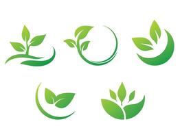 Set of green leaf ecology icon, leaf isolated on white background. Environment and Nature Symbol, Illustration. vector