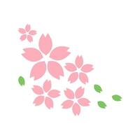 Minimalist Cherry Blossom Flowers with Green Leaves Isolated on Transparent Background vector