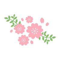 Pink Sakura Floral Arrangement with Falling Petals and Green Leaves on Transparent Background vector