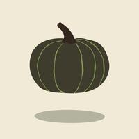Minimalist autumn cha cha kabocha pumpkin squash illustration fall theme vector