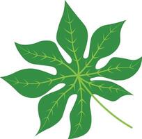 Illustration of Exotic Tropical Leaves vector